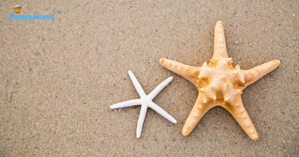 Valentine Star Wars Puns