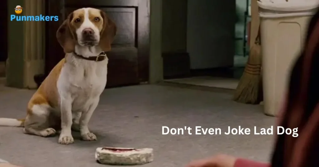 Dont Even Joke Lad Dog