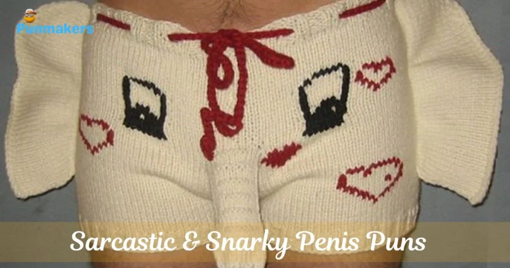 Sarcastic And Snarky Penis Puns