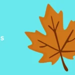 Maple Puns