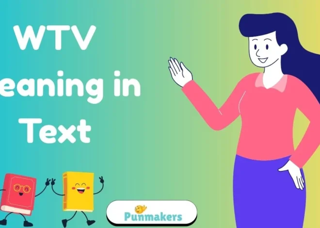 WTV Meaning in Text & Usage in Different Contexts 2026